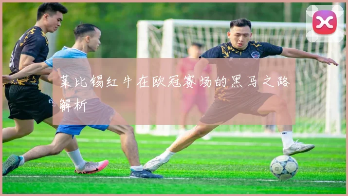 莱比锡红牛在欧冠赛场的黑马之路解析