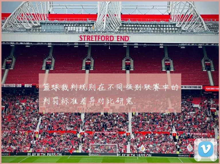 篮球裁判规则在不同级别联赛中的判罚标准差异对比研究