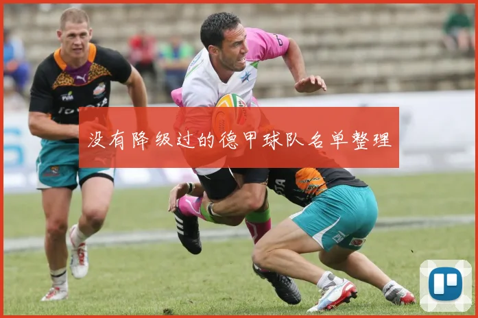 没有降级过的德甲球队名单整理