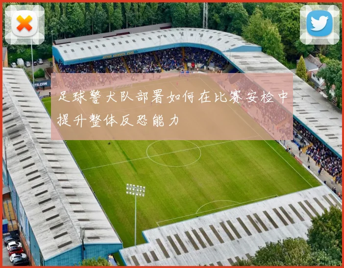 足球警犬队部署如何在比赛安检中提升整体反恐能力
