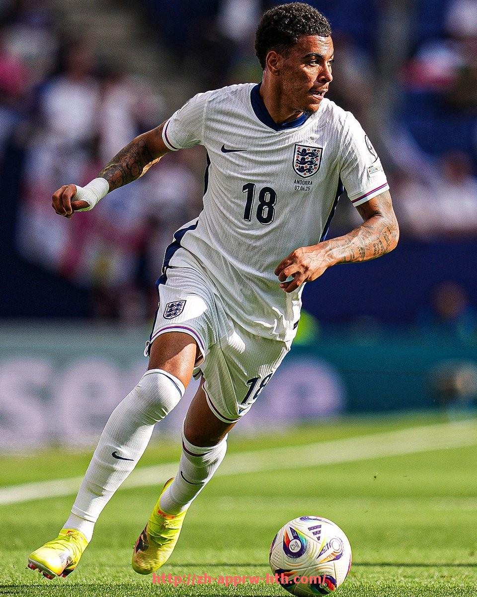 HTH华体会APP下载-2025年世俱杯球队球衣设计软件应用效果及改进方向探讨